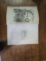 COLLECTION LIVRE ANCIEN HETZEL JULES VERNES LE SUPERBE ORENOQUE